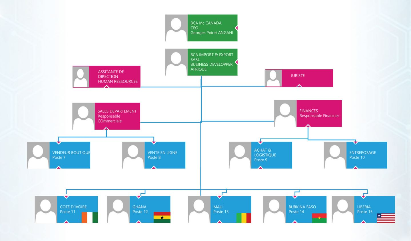 Organigramme de l'entreprise